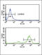 ETS Variant 6 antibody, LS-B10433, Lifespan Biosciences, Flow Cytometry image 