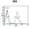 Armadillo Repeat Containing 5 antibody, abx032505, Abbexa, Flow Cytometry image 