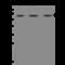 Hexosaminidase Subunit Beta antibody, 200592-T40, Sino Biological, Western Blot image 