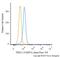 Three Prime Repair Exonuclease 1 antibody, NBP2-22394AF700, Novus Biologicals, Flow Cytometry image 