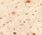 Rap Guanine Nucleotide Exchange Factor 3 antibody, A02483, Boster Biological Technology, Immunohistochemistry frozen image 