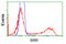 Serine Racemase antibody, LS-C115012, Lifespan Biosciences, Flow Cytometry image 