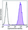 V-Set Domain Containing T Cell Activation Inhibitor 1 antibody, 358101, BioLegend, Flow Cytometry image 