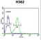 Family With Sequence Similarity 155 Member A antibody, LS-C165962, Lifespan Biosciences, Flow Cytometry image 