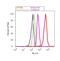 Ubiquilin 1 antibody, 37-7700, Invitrogen Antibodies, Flow Cytometry image 