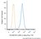 Chondroitin Sulfate Proteoglycan 4 antibody, NB100-2688, Novus Biologicals, Flow Cytometry image 