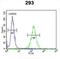 Zinc finger protein DZIP1 antibody, abx034162, Abbexa, Flow Cytometry image 
