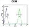 Cysteine Rich C-Terminal 1 antibody, abx025567, Abbexa, Flow Cytometry image 