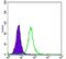 Orthodenticle Homeobox 2 antibody, NBP2-37597, Novus Biologicals, Flow Cytometry image 