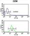 Integrin Subunit Beta 3 antibody, abx034056, Abbexa, Western Blot image 
