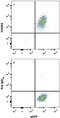 C-X-C Motif Chemokine Receptor 6 antibody, MAB2145-100, R&D Systems, Flow Cytometry image 