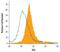 Receptor Like Tyrosine Kinase antibody, AF4907, R&D Systems, Western Blot image 