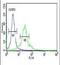 Sphingosine Kinase 1 antibody, PA5-26261, Invitrogen Antibodies, Flow Cytometry image 