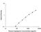 Angiogenin antibody, DAN00, R&D Systems, Enzyme Linked Immunosorbent Assay image 