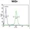 Protein BEX1 antibody, LS-C156802, Lifespan Biosciences, Flow Cytometry image 