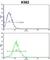 ATPase H+/K+ Transporting Non-Gastric Alpha2 Subunit antibody, abx034062, Abbexa, Western Blot image 