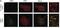Telomeric Repeat Binding Factor 2 antibody, NB110-57130, Novus Biologicals, Immunofluorescence image 