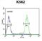 Receptor Transporter Protein 4 antibody, abx025771, Abbexa, Flow Cytometry image 