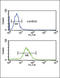 CFL1 antibody, LS-C168705, Lifespan Biosciences, Flow Cytometry image 