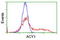 Aminoacylase 1 antibody, LS-C173123, Lifespan Biosciences, Flow Cytometry image 