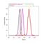 Survival Of Motor Neuron 2, Centromeric antibody, 720207, Invitrogen Antibodies, Flow Cytometry image 