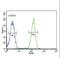 SLC9A3 Regulator 1 antibody, LS-C161280, Lifespan Biosciences, Flow Cytometry image 