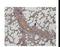 Cathepsin D antibody, LS-C348296, Lifespan Biosciences, Immunohistochemistry frozen image 