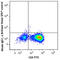 Interferon Gamma antibody, 502533, BioLegend, Immunocytochemistry image 