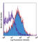 TNF Receptor Superfamily Member 1B antibody, 113403, BioLegend, Flow Cytometry image 