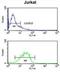 Insulin Like Growth Factor Binding Protein Acid Labile Subunit antibody, abx033425, Abbexa, Flow Cytometry image 