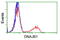 DnaJ Heat Shock Protein Family (Hsp40) Member B1 antibody, LS-C172551, Lifespan Biosciences, Flow Cytometry image 