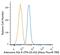 Adenosine A2a Receptor antibody, NBP1-39474AF700, Novus Biologicals, Flow Cytometry image 