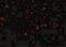 NLR Family Pyrin Domain Containing 1 antibody, NBP1-76656, Novus Biologicals, Immunofluorescence image 