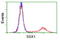 Protein SSX1 antibody, TA502724, Origene, Flow Cytometry image 