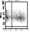 Toll Like Receptor 10 antibody, DDX0490A488, Novus Biologicals, Flow Cytometry image 