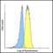Lymphocyte Activating 3 antibody, RF16083, ProSci, Flow Cytometry image 
