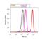 Forkhead Box O3 antibody, 701847, Invitrogen Antibodies, Flow Cytometry image 