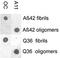 Amyloid Fibrils antibody, orb99110, Biorbyt, Dot Blot image 