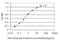 Serum/Glucocorticoid Regulated Kinase 2 antibody, H00010110-M08, Novus Biologicals, Enzyme Linked Immunosorbent Assay image 