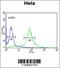 Phosphatidylinositol 4-Kinase Beta antibody, 62-557, ProSci, Flow Cytometry image 