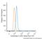 Keratin 8 antibody, NB120-9287, Novus Biologicals, Flow Cytometry image 