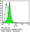 Discs Large MAGUK Scaffold Protein 4 antibody, MA1-045, Invitrogen Antibodies, Flow Cytometry image 