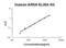 Arylsulfatase A antibody, EK2077, Boster Biological Technology, Enzyme Linked Immunosorbent Assay image 