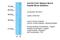 Solute Carrier Family 12 Member 1 antibody, PA5-41995, Invitrogen Antibodies, Western Blot image 