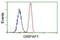 GRIP1-associated protein 1 antibody, NBP2-02277, Novus Biologicals, Flow Cytometry image 