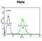 CCNG1 antibody, abx025997, Abbexa, Flow Cytometry image 