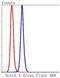 Notch1b antibody, NBP2-67420, Novus Biologicals, Flow Cytometry image 