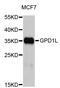 Glycerol-3-Phosphate Dehydrogenase 1 Like antibody, STJ26714, St John