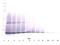 Colony Stimulating Factor 3 antibody, GTX29751, GeneTex, Western Blot image 