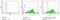 Lin-28 Homolog A antibody, MA1-016-D488, Invitrogen Antibodies, Flow Cytometry image 